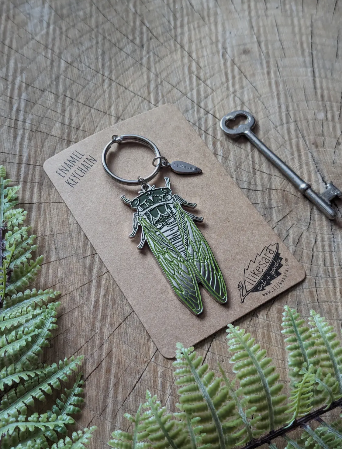 Keychain | Cicada